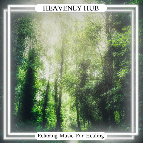 Relaxing Music For Healing