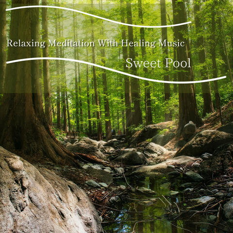 Relaxing Meditation With Healing Music
