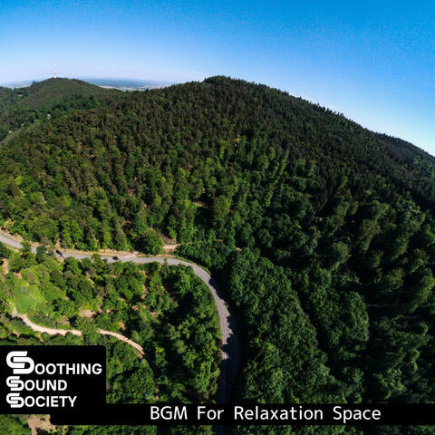 BGM For Relaxation Space