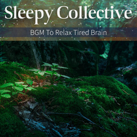 BGM To Relax Tired Brain
