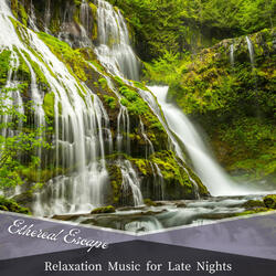 Gentle Breeze Through Trees