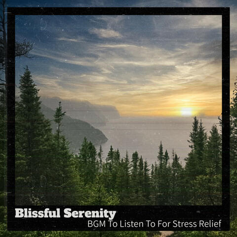 BGM To Listen To For Stress Relief