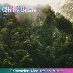 Soothing Horizon Veil