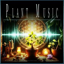 Healing Frequencies 432 Hz