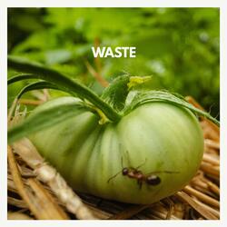 Waste