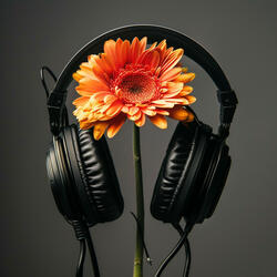 Soothing Calm Rhythm