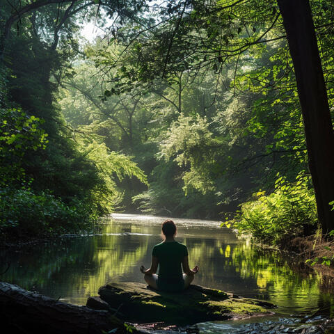 Ecos Para La Meditación: Melodías Atentas