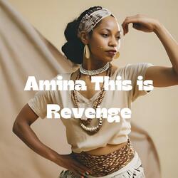 Amina This is Revenge