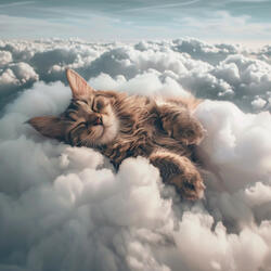 Tonos Tranquilos Y Pacíficos Para Gatos