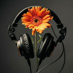 Visionary Echo Pulse