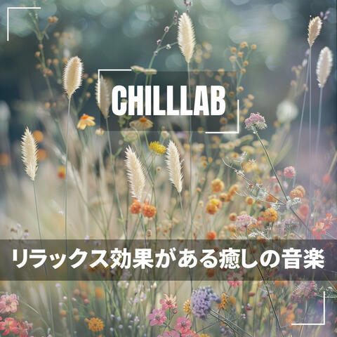 リラックス効果がある癒しの音楽