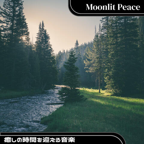 癒しの時間を迎える音楽