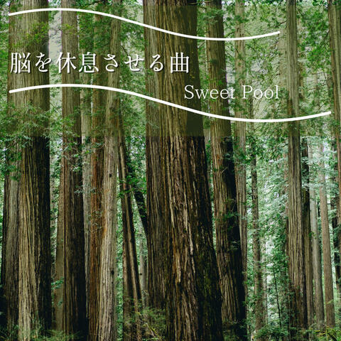 脳を休息させる曲