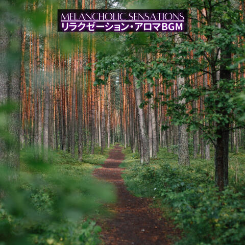 リラクゼーション・アロマBGM