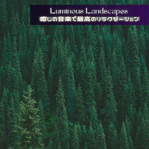 癒しの音楽で最高のリラクゼーション