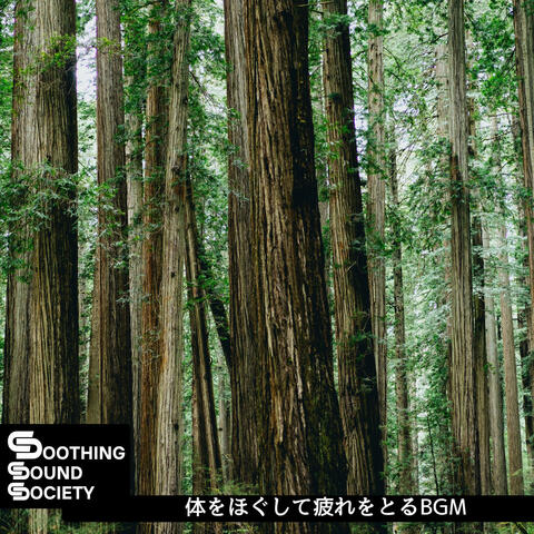 体をほぐして疲れをとるBGM