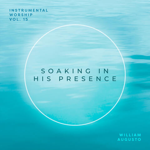 Soaking in His Presence, Vol. 15