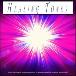 Binaural Beats Wellness Music