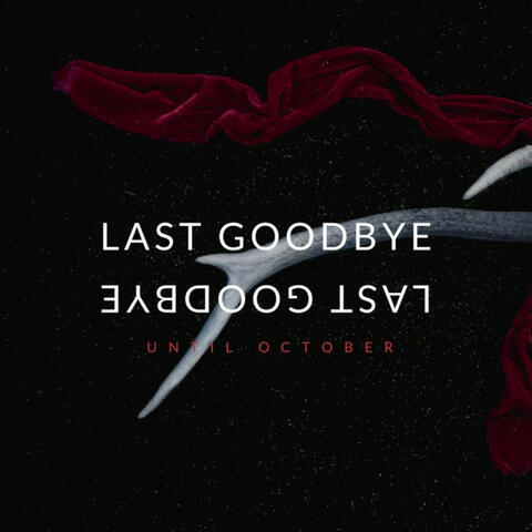 Last Goodbye