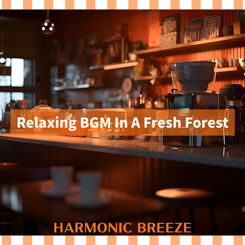 Relaxing BGM In A Fresh Forest