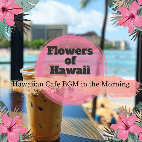 Hawaiian Cafe BGM in the Morning