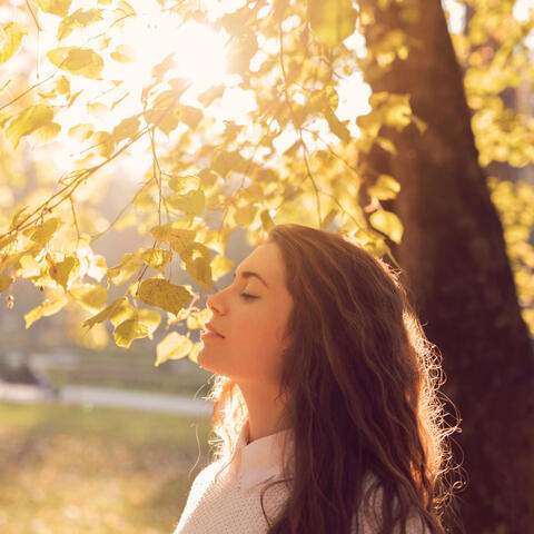 Wings of Calm: Relaxation with Gentle Bird Chirping