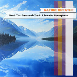 Shadows of the Calming Twilight