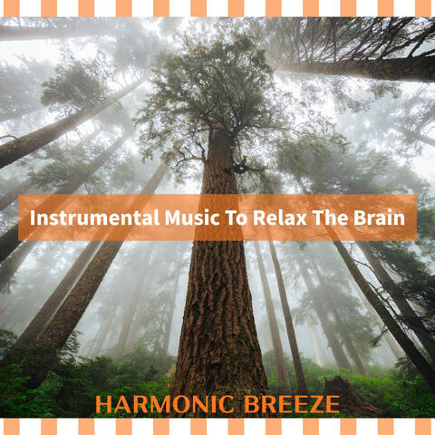 Instrumental Music To Relax The Brain