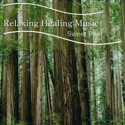 Haven of Restful Echoes