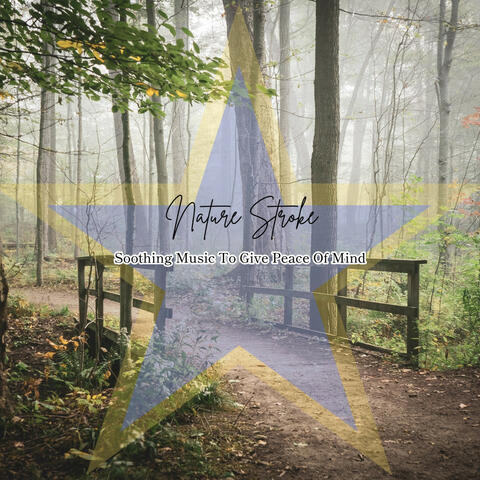 Soothing Music To Give Peace Of Mind