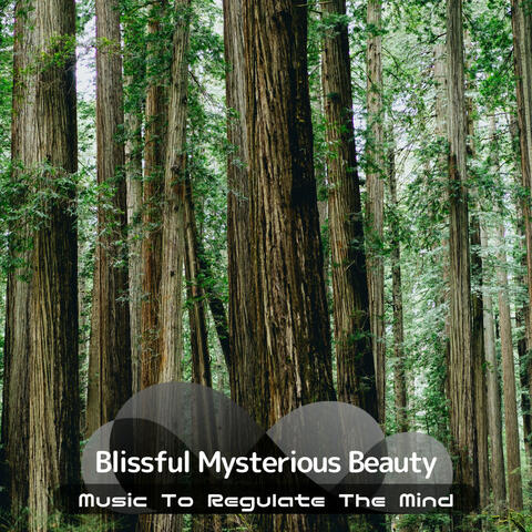 Music To Regulate The Mind