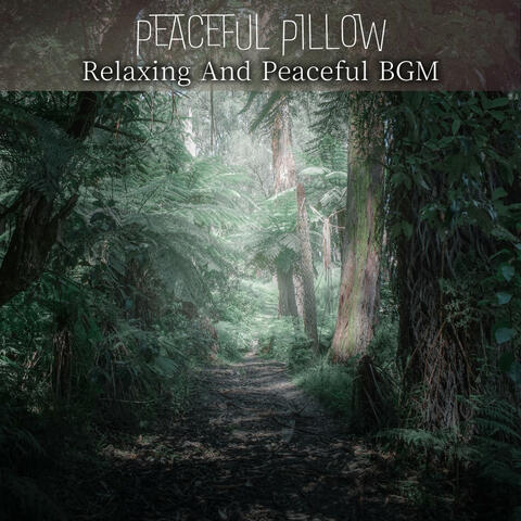 Relaxing And Peaceful BGM