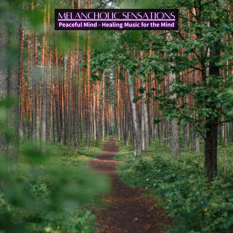 Peaceful Mind - Healing Music for the Mind