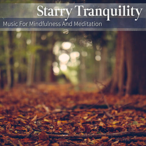 Music For Mindfulness And Meditation