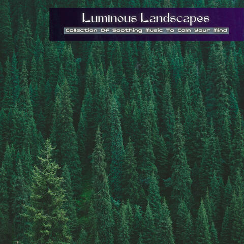 Collection Of Soothing Music To Calm Your Mind