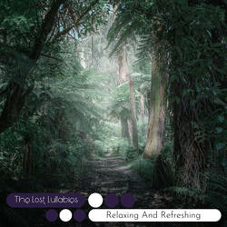 Lullabye for the Soul