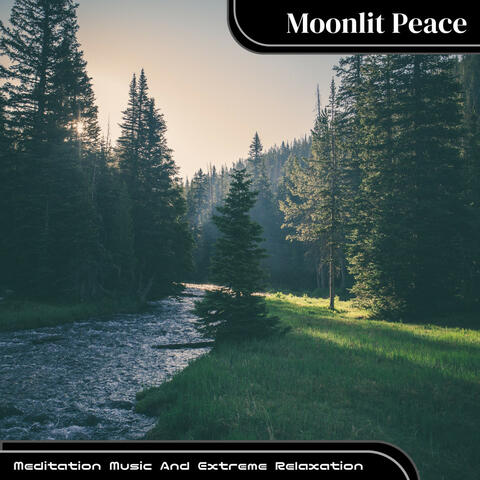 Meditation Music And Extreme Relaxation