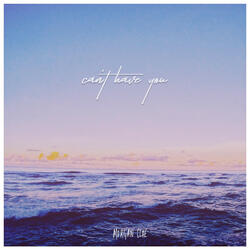 Can't Have You