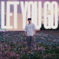 Let You Go