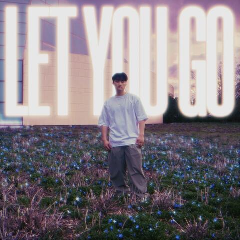 Let You Go