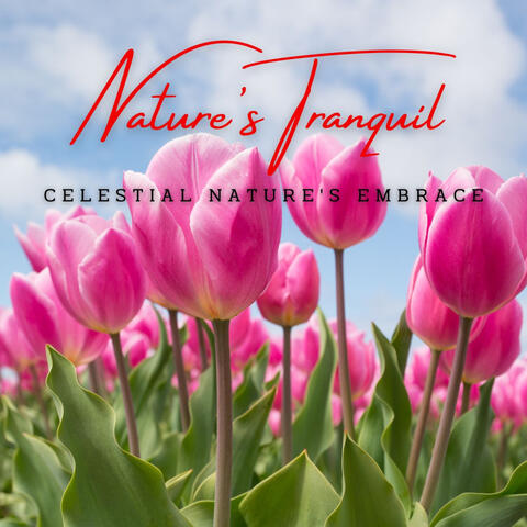 Nature's Tranquil Whispers: Meditative Melodies for Serenity