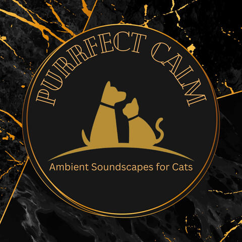 Purrfect Calm: Ambient Soundscapes for Cats