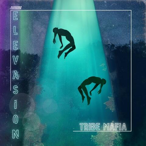 ELEVASION