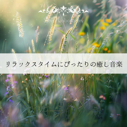 リラックスタイムにぴったりの癒し音楽
