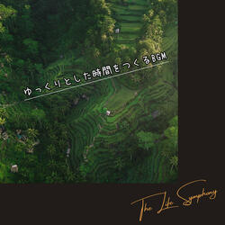 Still Night Serenade