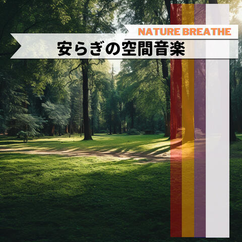 安らぎの空間音楽