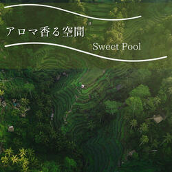 Driftwood of the Soul