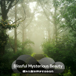 Serene Paths in Meadow