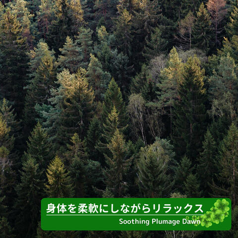 身体を柔軟にしながらリラックス