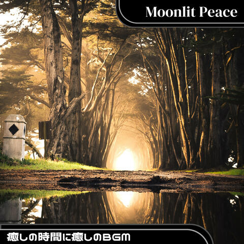 癒しの時間に癒しのBGM